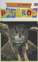 Pajaros