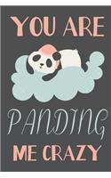 you are Panding me crazy.: Panda gifts for men, women, girls, boys, and kids: cute blank Lined notebook/Journal to write in.