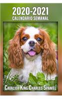 2020-2021 Calendario Semanal Cavalier King Charles Spaniel Calendario