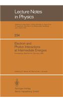 Electron and Photon Interactions at Intermediate Energies