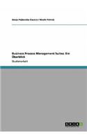 Business Process Management Suites