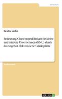 Bedeutung, Chancen und Risiken für kleine und mittlere Unternehmen (KMU) durch das Angebot elektronischer Marktplätze: (German)