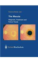 The Macula