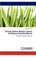 Young Green Barley Leaves As Natural Antioxidants