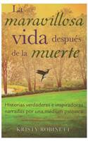 Maravillosa Vida Despues de La Muerte