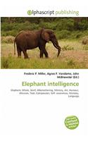 Elephant Intelligence