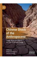 Chinese Shock of the Anthropocene