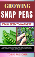 Growing Snap Peas from Seed to Harvest