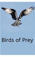 Birds of Prey