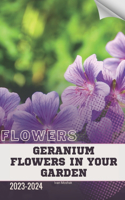 Geranium Flowers in Your Garden: Become flowers expert