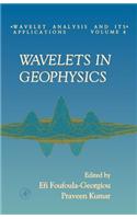 Wavelets in Geophysics