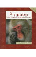 Primates