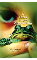 A Frog from Anoratum