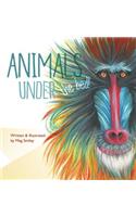 Animals Under the Bed!