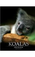 Koalas