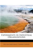 Experiments in Industrial Organizations: (English)