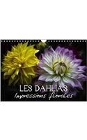 Dahlias Impressions Florales 2018