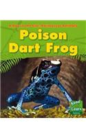 Poison Dart Frog