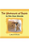 The Adventures of Buster