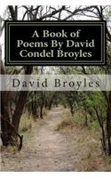 Book of Poems By David Condel Broyles