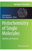 Histochemistry of Single Molecules