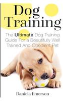 Dog Training