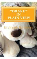 Drake In Plain View