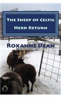 Sheep of Celtic Herd Return
