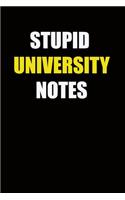 Stupid University Notes: 6x9 Lined Notebook, Gift For a Friend or a Colleague (Gift For Someone You Love), Birthday Gift