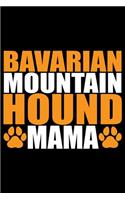 Bavarian Mountain Hound Mama