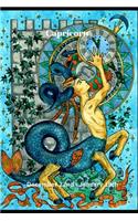Capricorn December 22nd - January 19th