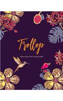 2020-2024 Five Year Diary; Trollop: UK Month to View Diary(3 Agendas, Monthly Calendar Planners, and Personal Organisers)