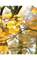 Cahier Hexagonal