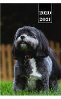 Shih Tzu Dog Calendar Week Planner 2020 / 2021 - Run on the Lawn: Pup Puppy Doggie Pet Owner Weekly Bullet Journal Notebook Diary in 6" x 9" Inch Pocket Size