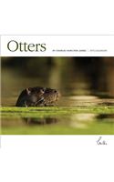 Otters 2015 Wall Calendar