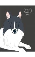 2019 Collie: Dated Weekly Planner with to Do Notes & Dog Quotes - Collie Black White(27 Awesome Calendar Planners for Dog Owners Dark)
