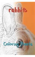 Rabbit Coloring Sheets: 30 Rabbit Drawings, Coloring Sheets Adults Relaxation, Coloring Book for Kids, for Girls, Volume 6