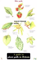 Guide to Plant Galls in Britain