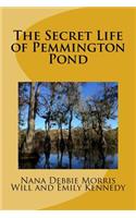 The Secret Life of Pemmington Pond