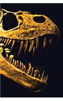 Jurassic Notebook: Blank Journal Diary Log(11 Jurassic 150 Lined)