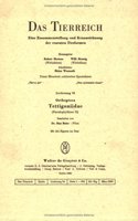 Orthoptera. Tettigoniidae (Pseudophyllinae II)