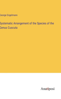 Systematic Arrangement of the Species of the Genus Cuscuta