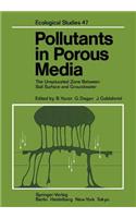 Pollutants in Porous Media