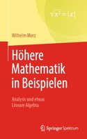 Höhere Mathematik in Beispielen