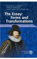 Essay