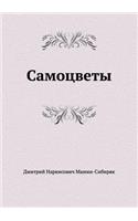 Самоцветы