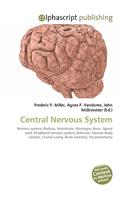 Central Nervous System: (English)