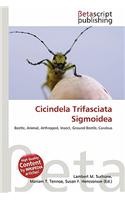 Cicindela Trifasciata Sigmoidea: (English)