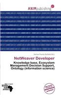 Netweaver Developer