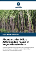 Abundanz der Mikro Arthropoden Fauna in Vegetationsfeldern